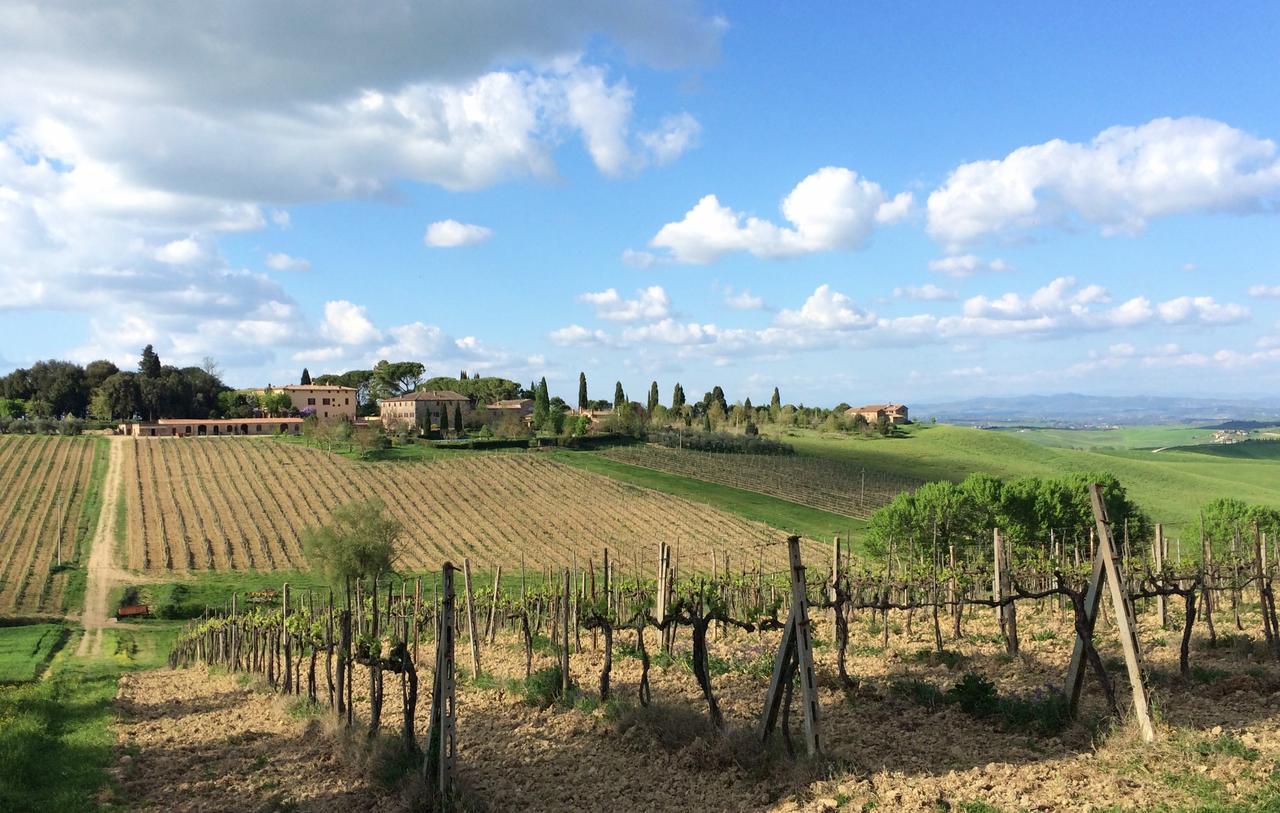 Tenuta Di Corsano Monteroni d'Arbia Exterior photo